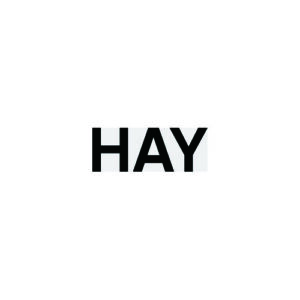 hay logo