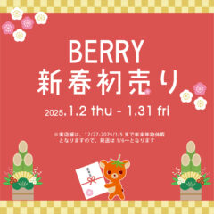 北欧インテリアと暮らしの家具通販店 2025年 新春初売り1月2日スタートのお知らせ